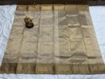 Nakshi Border Katan Chanderi in Ivory Gold with Chevron Zari Pallu - Image 3
