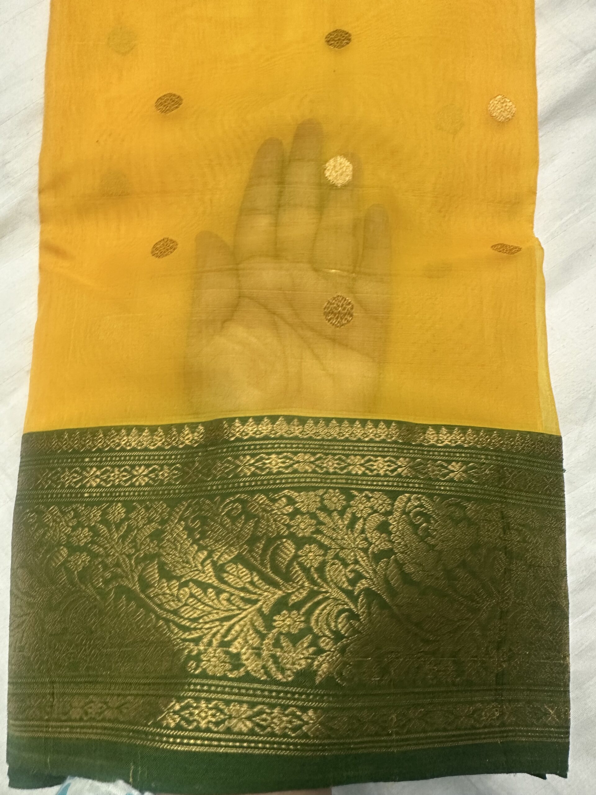 IMG_3792 Nakshi Border Katan Chanderi in Golden Yellow with Forest Green Nakshi Border - Image 1