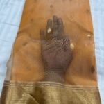 Pattu Border Katan Chanderi in Honey Gold with Traditional Zari Pallu