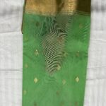 Pattu Border Katan Chanderi in Parrot Green with Diamond Zari Butti